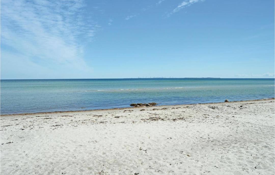 Photo of Others in Saksild Strand