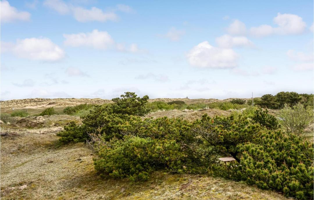 Photo of Others in Sønderho