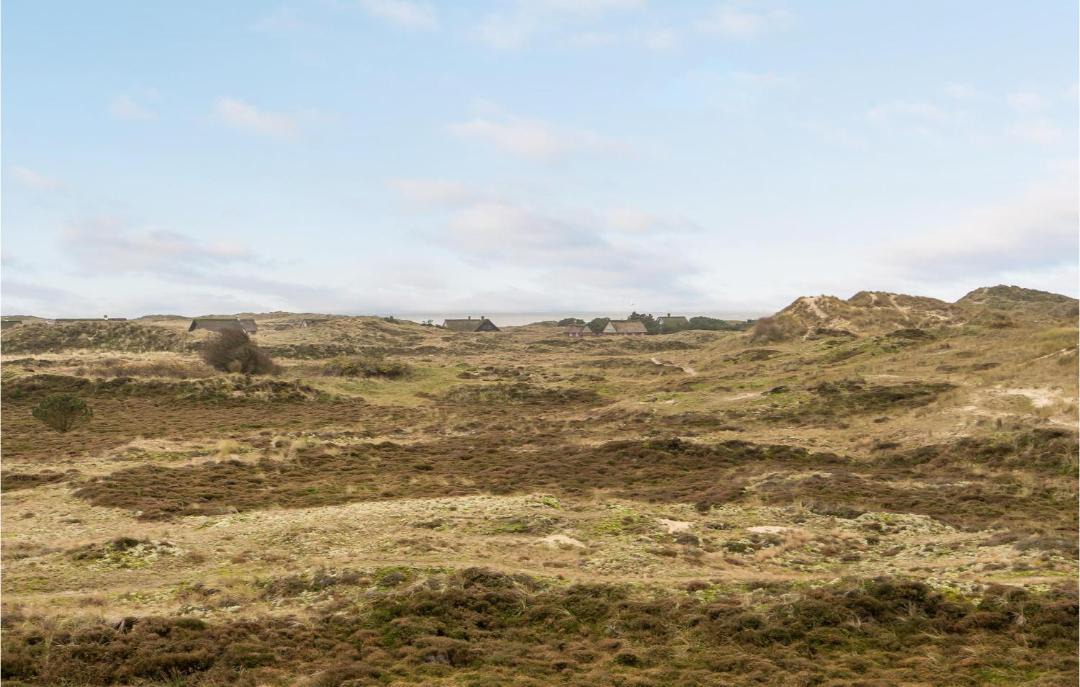 Photo of Others in Sønderho