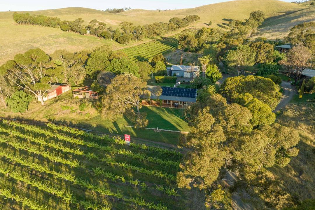 Photo of Others in Bethany