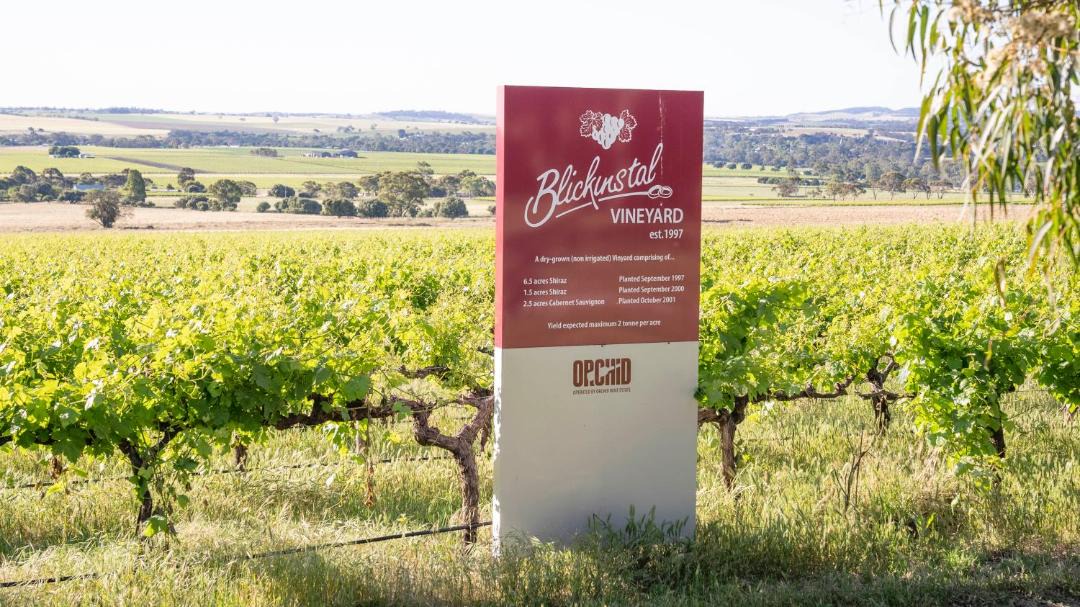 Photo of Others in Bethany