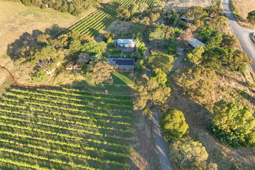 Photo of Others in Bethany