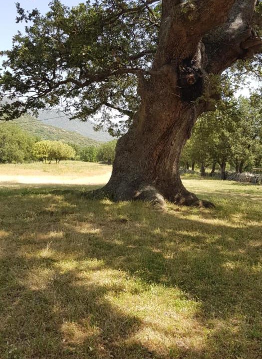 Photo of Others in Muro