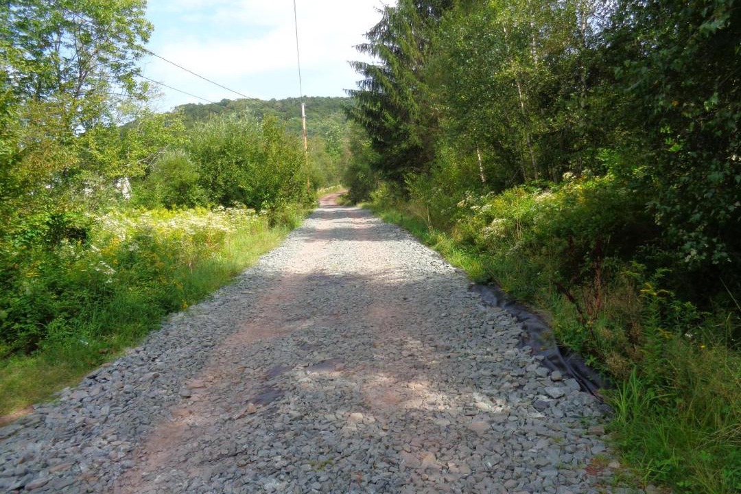 Photo of Others in Parksville