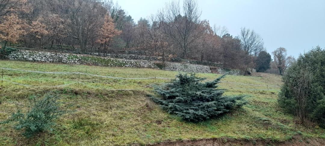 Photo of Others in Chassiers