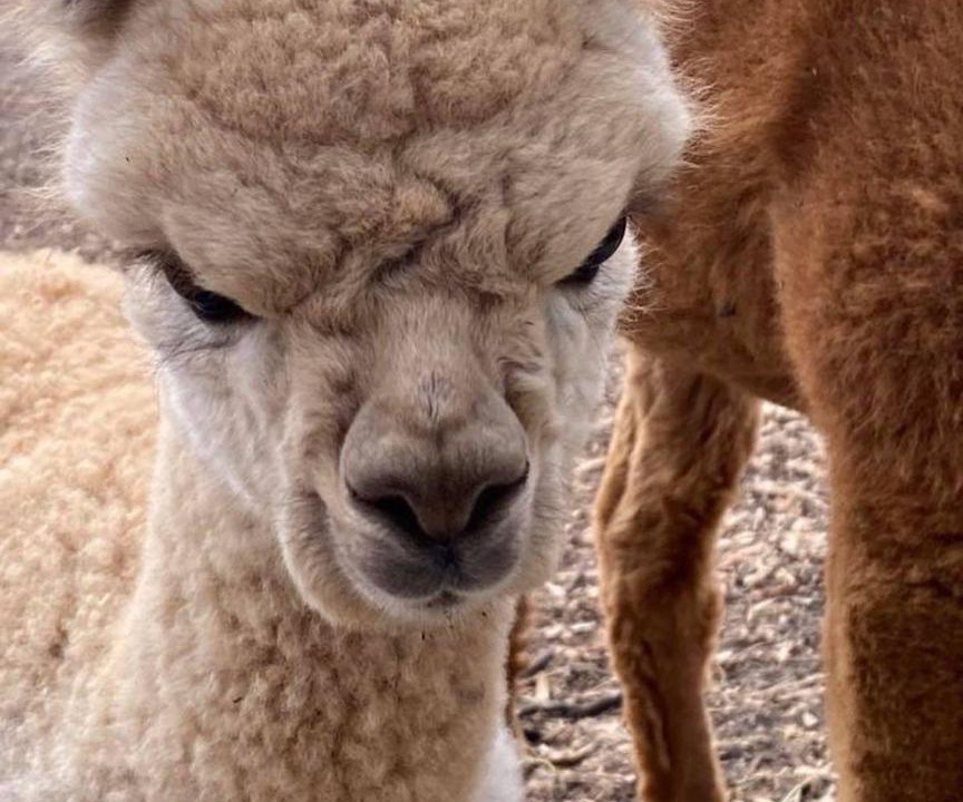 Photo of Others in Cromer