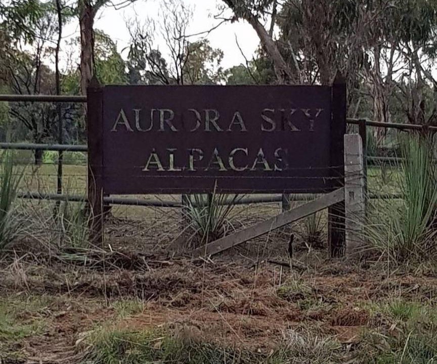 Photo of Buildings in Cromer
