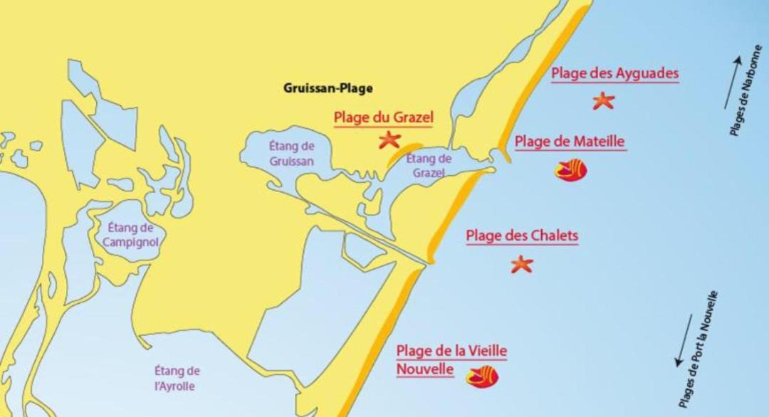 Photo of Others in Gruissan