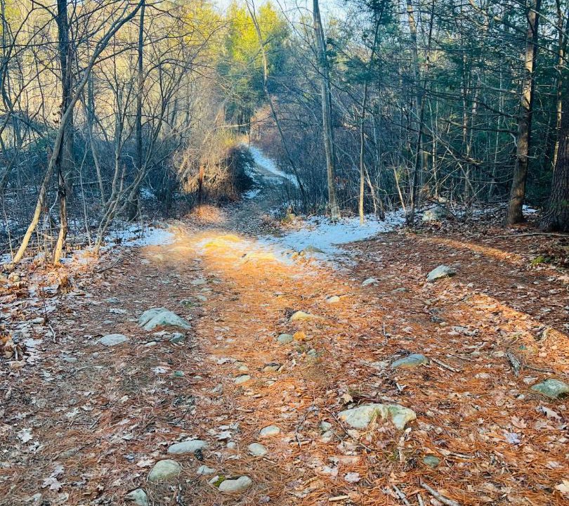 Photo of Others in Georgetown