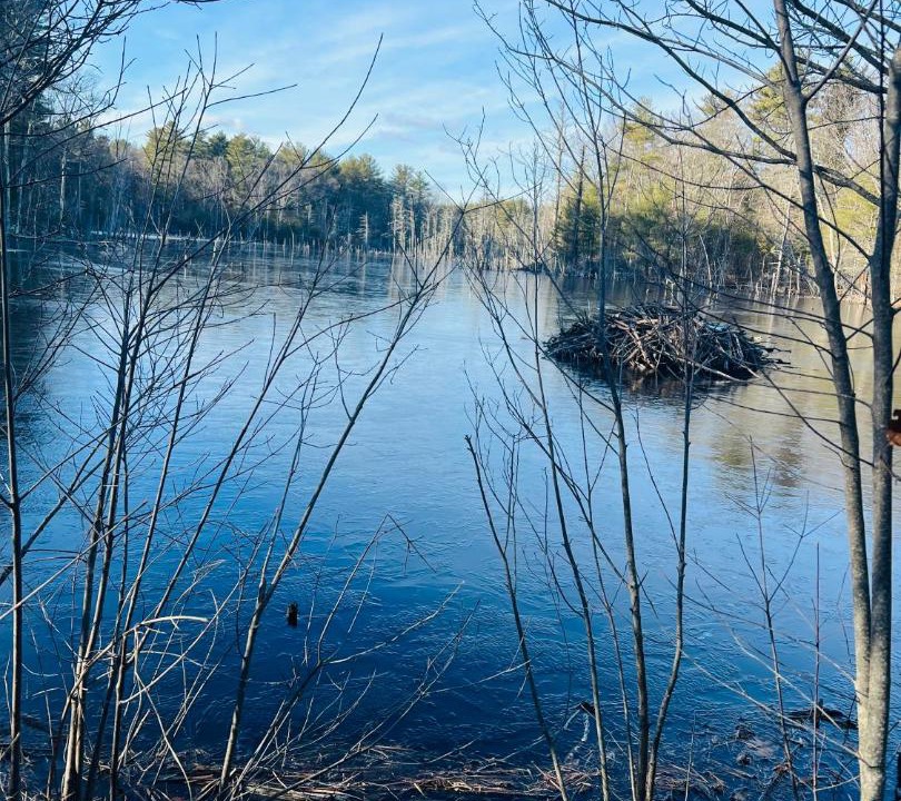 Photo of Others in Georgetown