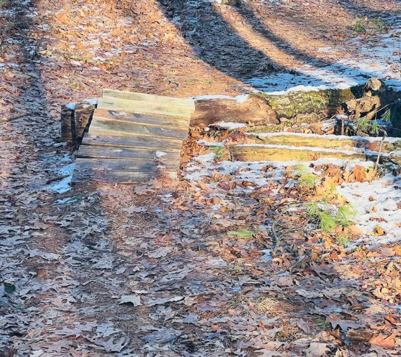 Photo of Others in Georgetown