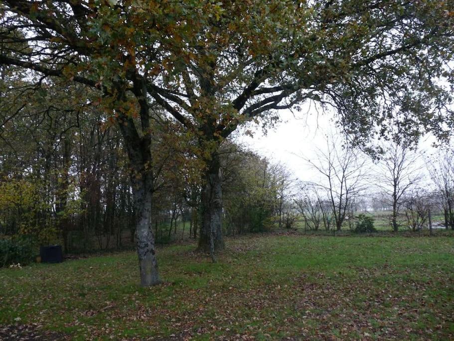 Photo of Others in Grand-Fougeray