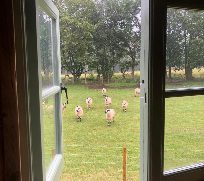 Photo of Others in Horley