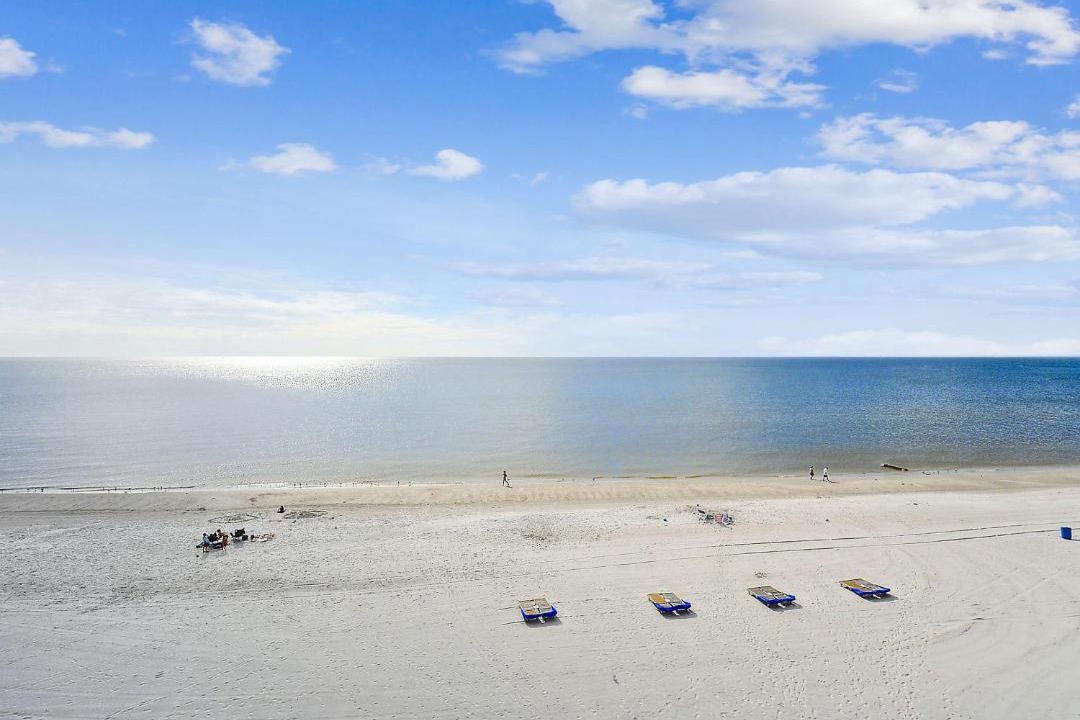 Photo of Others in Madeira Beach