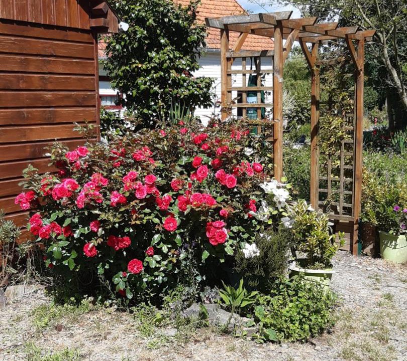 Photo of Buildings in Saint-Georges-de-Livoye