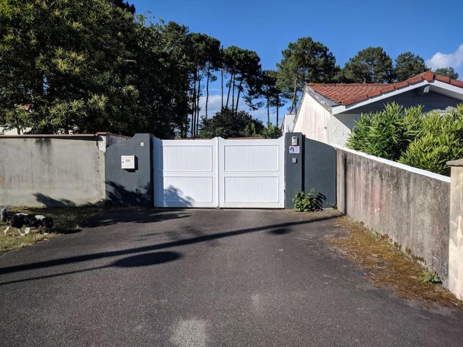 Photo of Buildings in Mont-de-Marsan