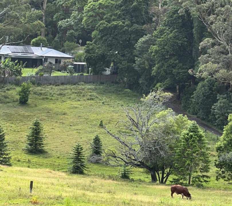 Photo of Others in Mount Tamborine
