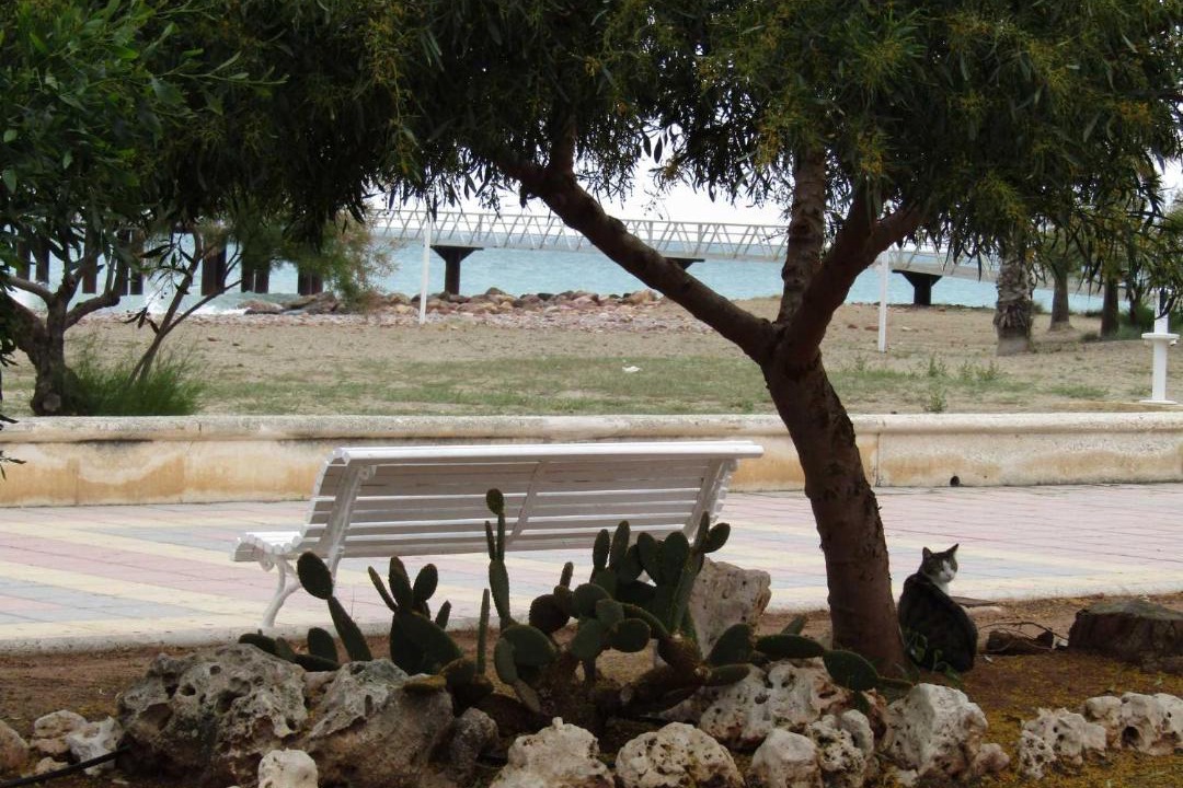 Photo of Others in Chilches