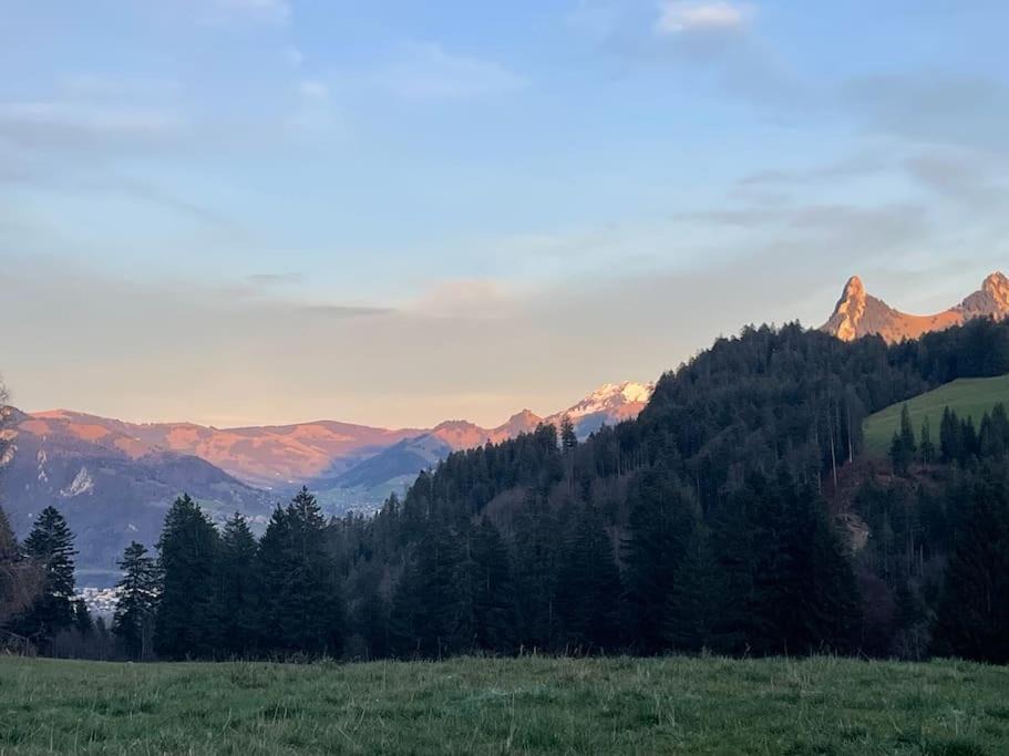 Photo of Outdoor in Moleson