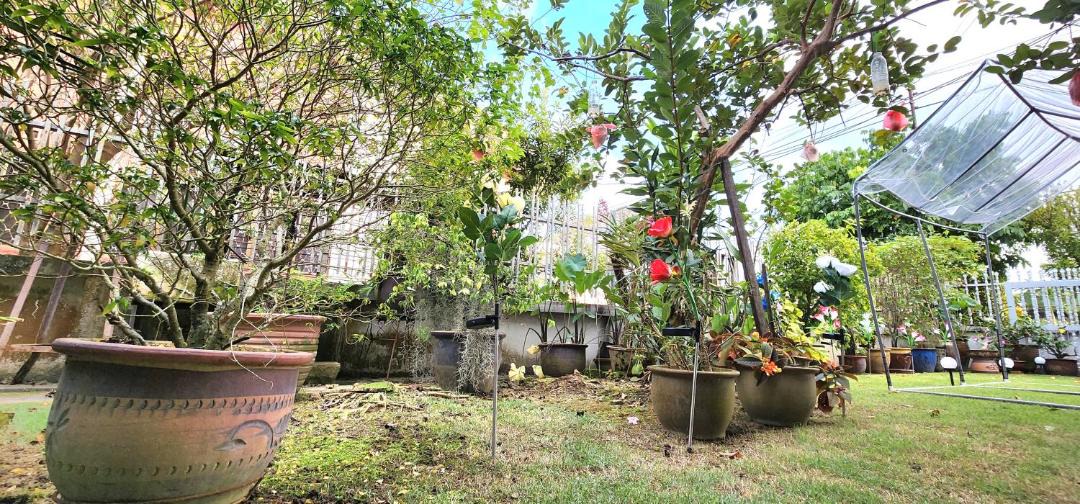 Photo of Others in Central Seberang Perai