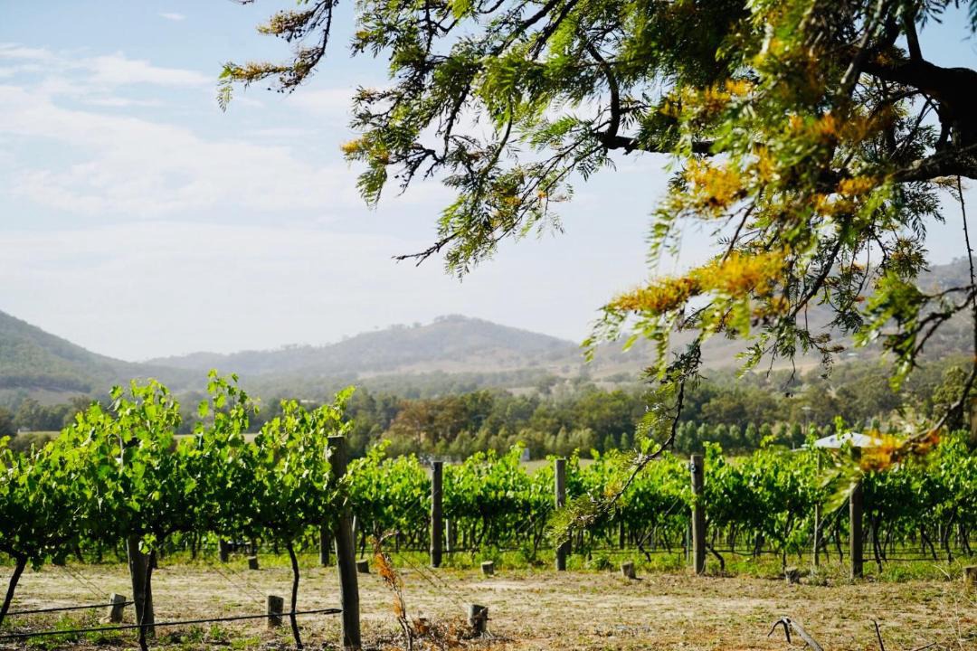 Photo of Others in Apple Tree Flat