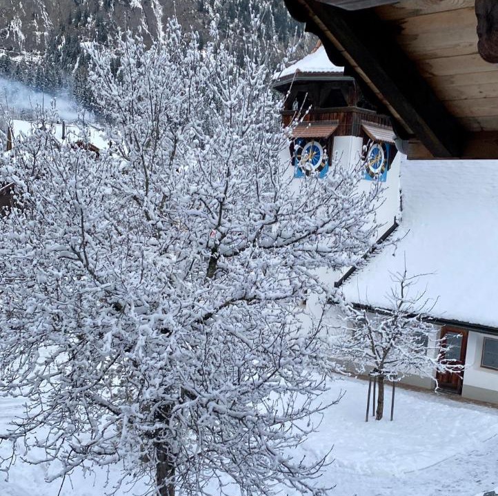 Photo of Others in Kandersteg