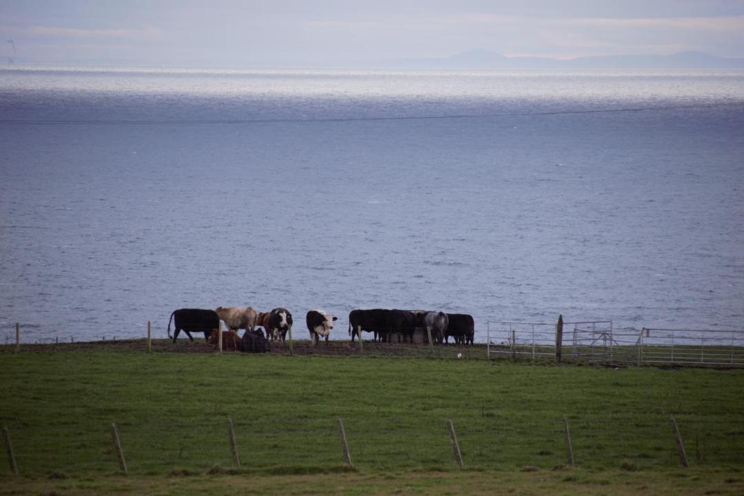 Photo of Others in Lybster