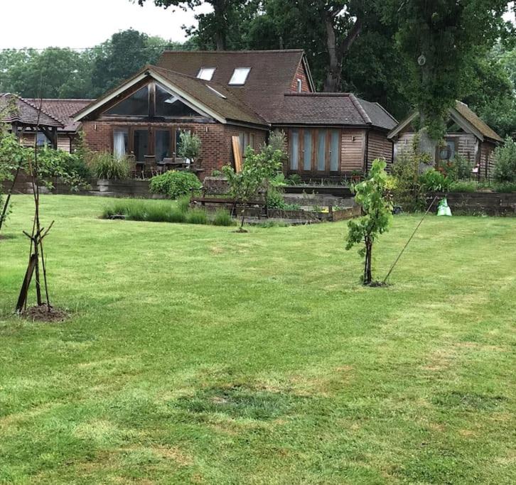 Photo of Buildings in Haslemere