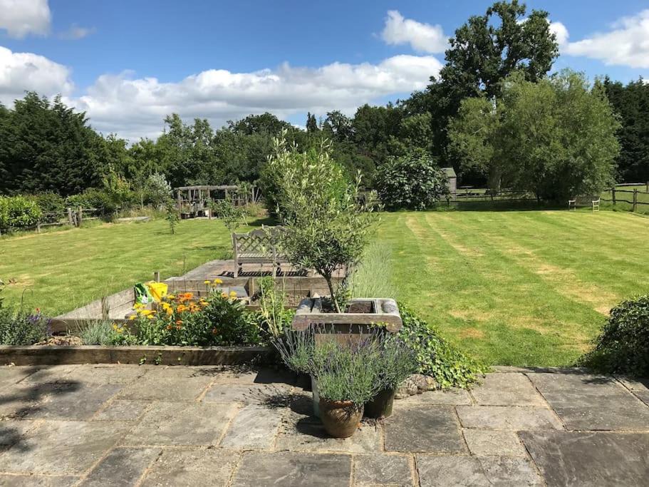 Photo of Others in Haslemere