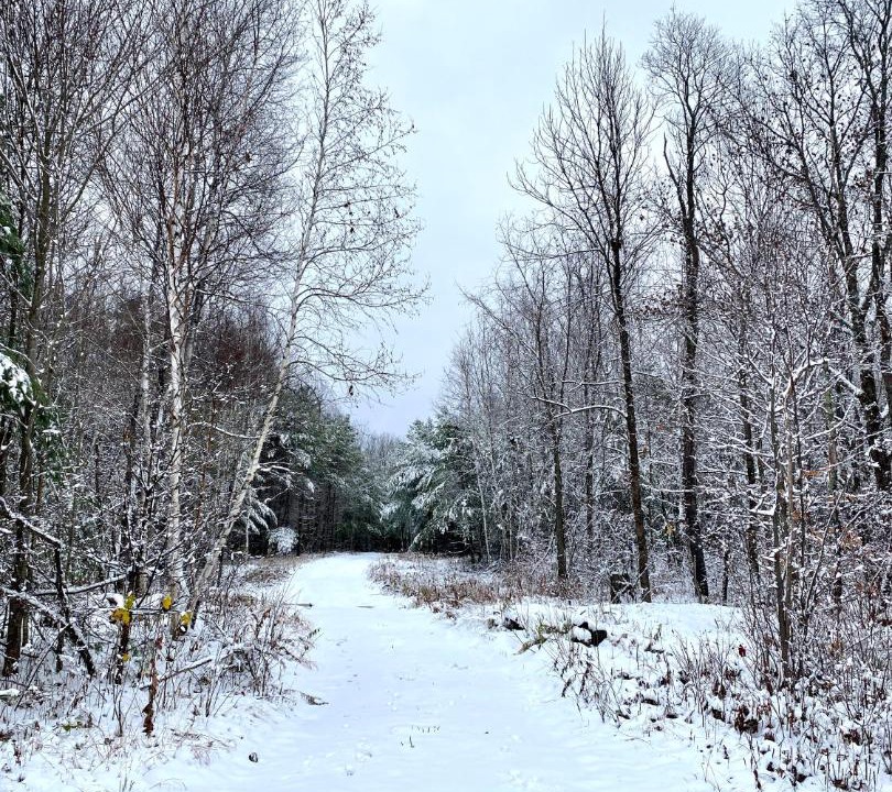 Photo of Others in Rumney