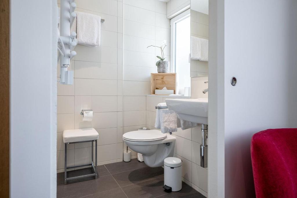 Photo of Bathroom in Brigerbad