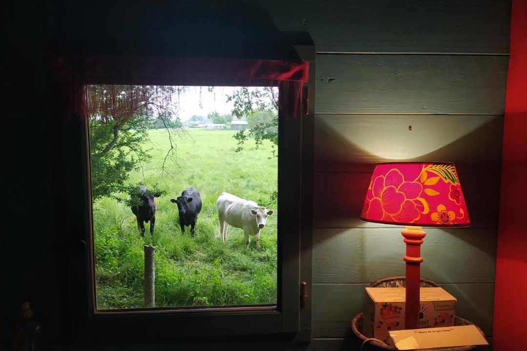 Photo of Others in Olivet