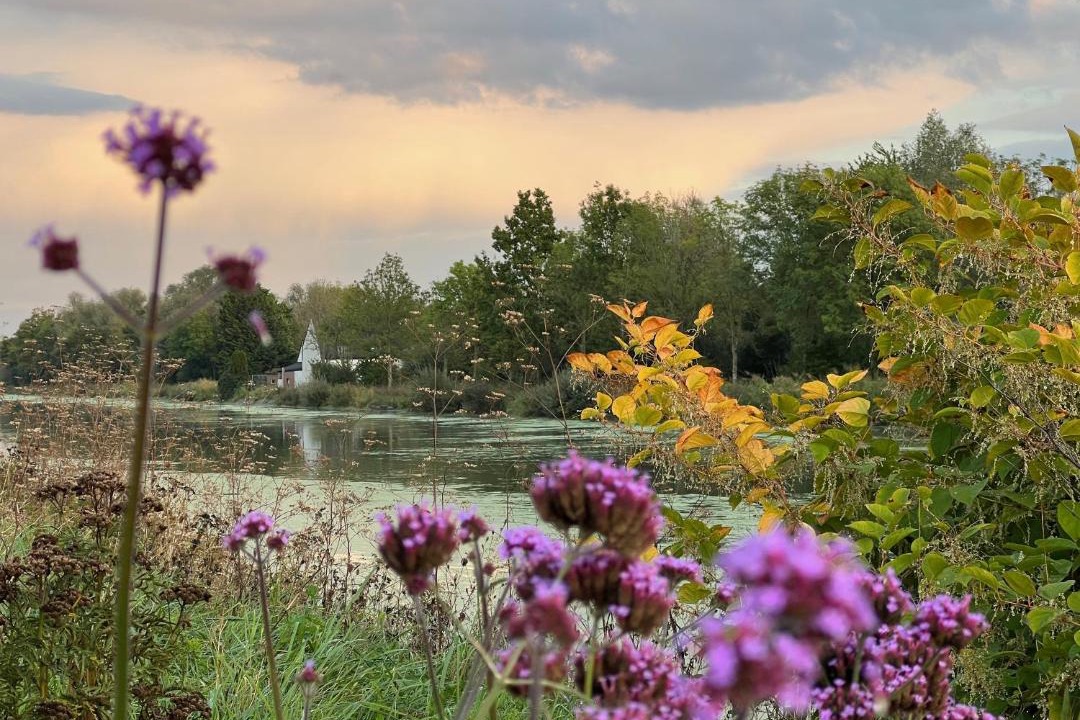 Photo of Others in Mont-Bernanchon