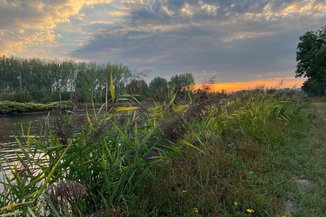 Photo of Others in Mont-Bernanchon