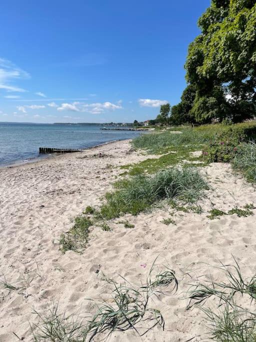 Photo of Outdoor in Snekkersten