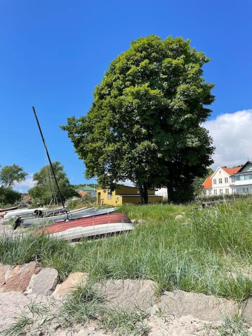 Photo of Others in Snekkersten