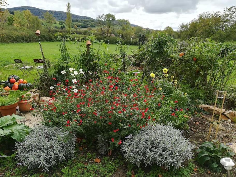 Photo of Outdoor in Val-Sonnette