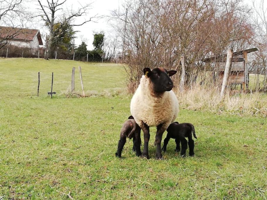 Photo of Others in Val-Sonnette