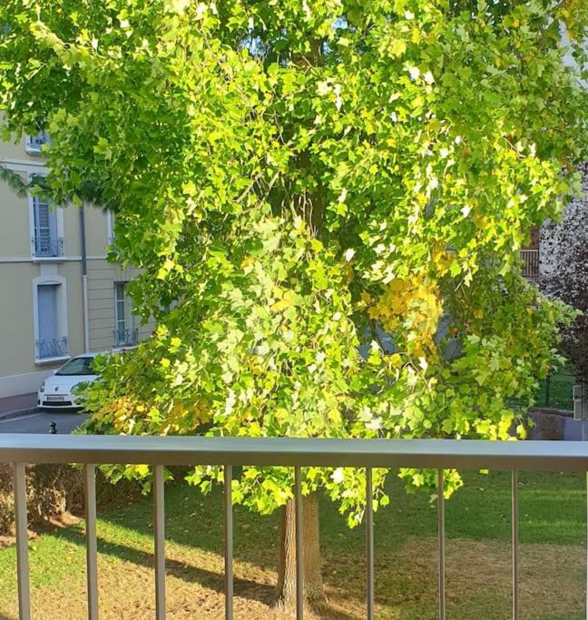 Photo of Others in Saint-Germain-en-Laye