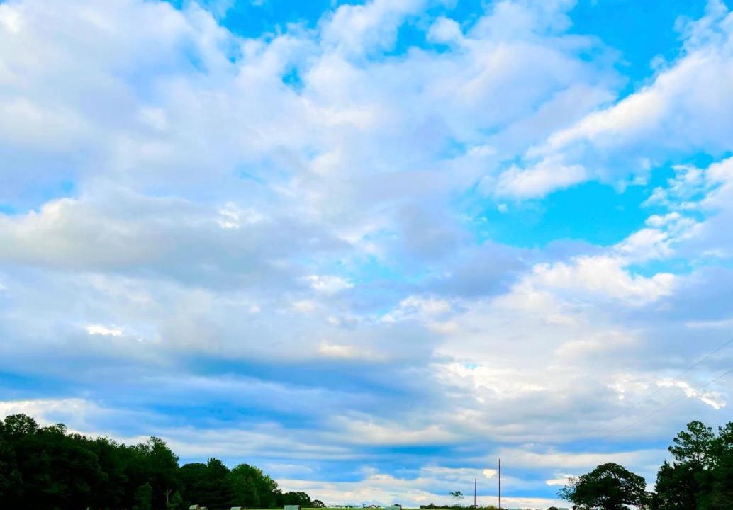Photo of Outdoor in Grapeland