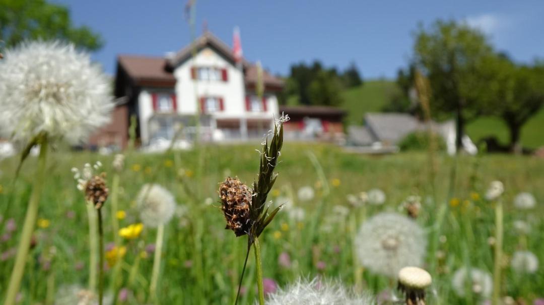 Photo of Others in Engelberg