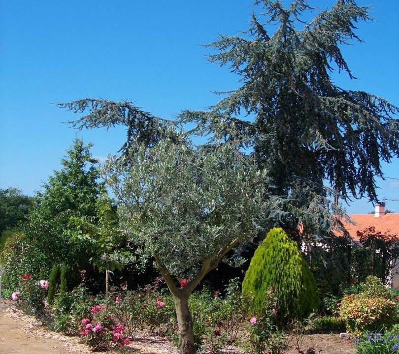 Photo of Others in Tillieres