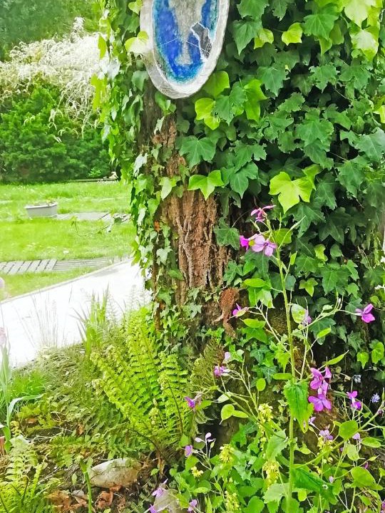 Photo of Others in Saint-Elix-le-Chateau