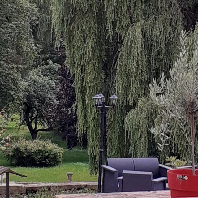 Photo of Others in Saint-Ouen-les-Parey