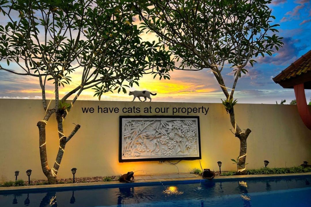 Photo of Others in Sewon