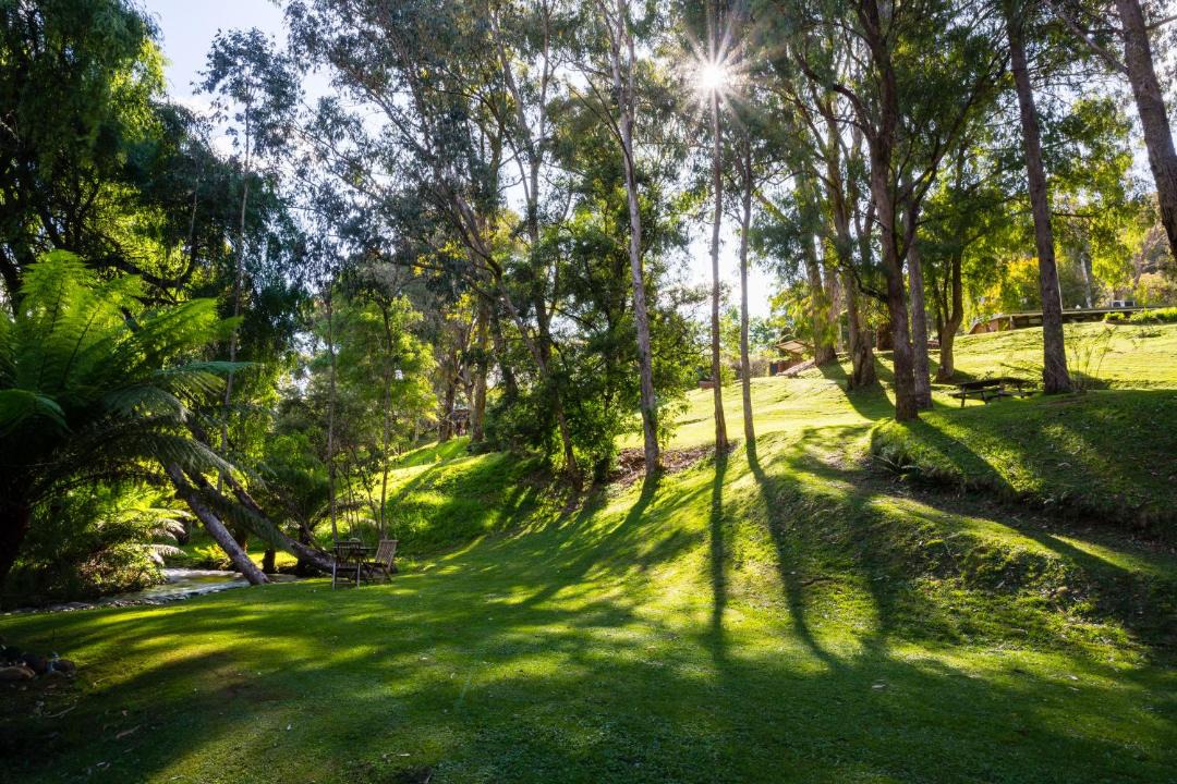 Photo of Others in Tawonga South