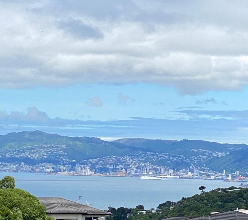 Photo of Others in Maungaraki