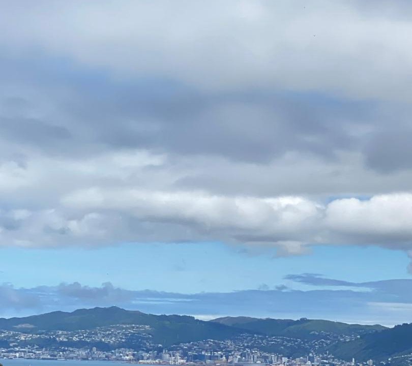 Photo of Others in Maungaraki