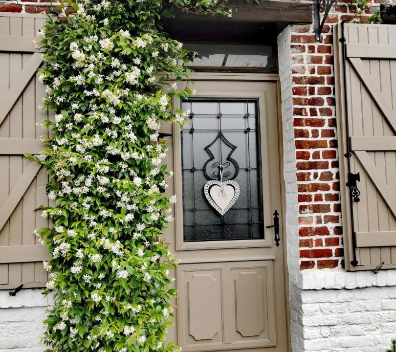 Photo of Others in Coutiches