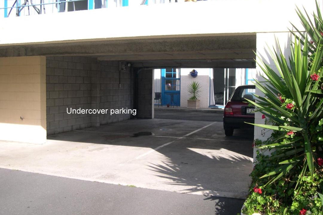 Photo of Others in Tauranga